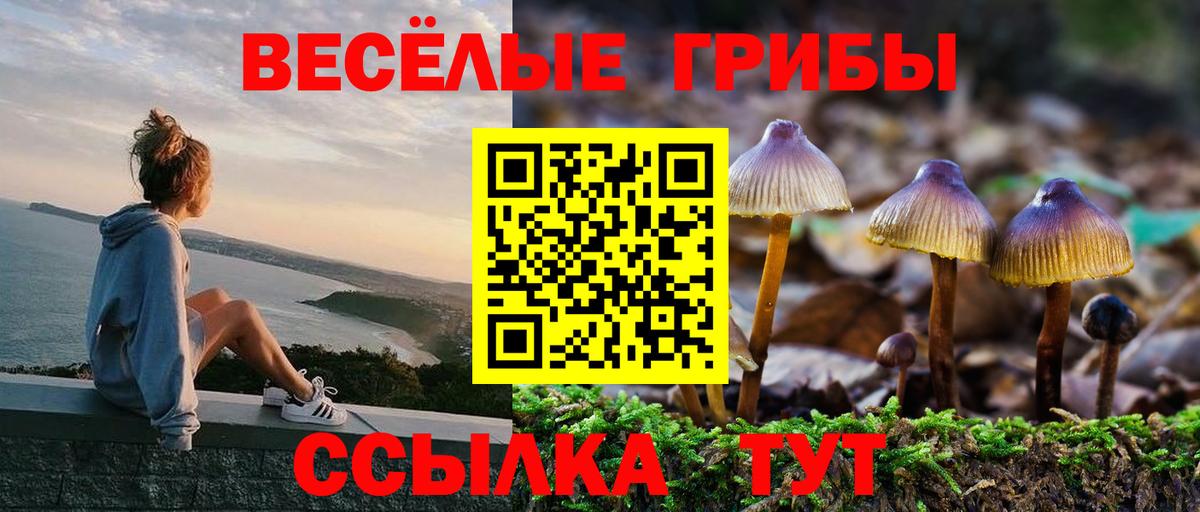 Галлюциногенные грибы Psilocybine cubensis  Вход с VPN  Галлюциногенные грибы мухоморы  Лесозаводск 