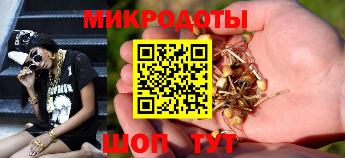 Псилоцибиновые грибы MAGIC MUSHROOMS Лесозаводск